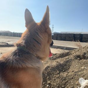 Meet your Posher, Manuel